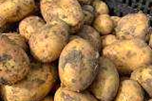 Aardappelen (nieuwe)